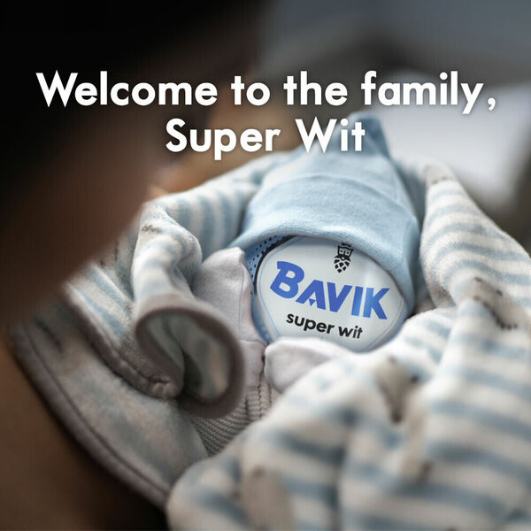 NIEUW: Bavik Super Wit