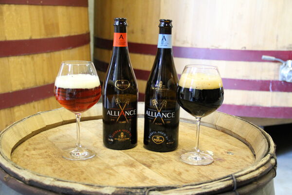 Alliance #5: De lancering